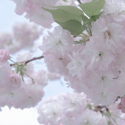 Furry插画色彩搭配Furry群